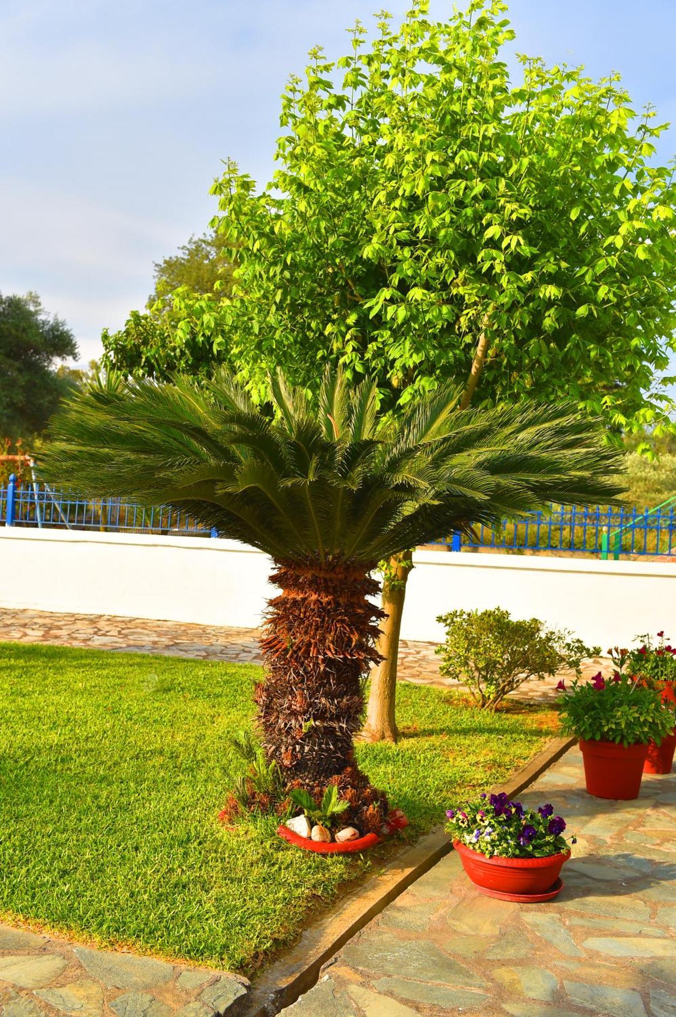 קנאלי Villa Elpida מראה חיצוני תמונה