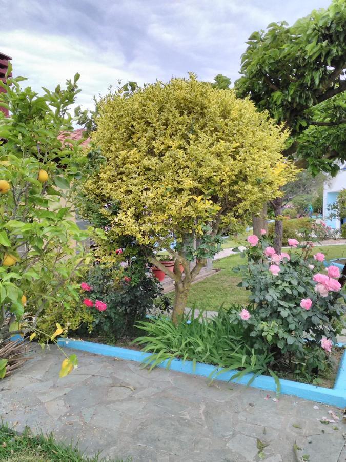 קנאלי Villa Elpida מראה חיצוני תמונה