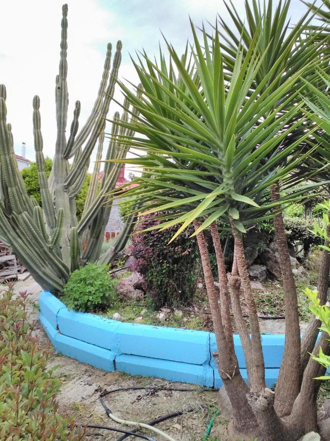 קנאלי Villa Elpida מראה חיצוני תמונה
